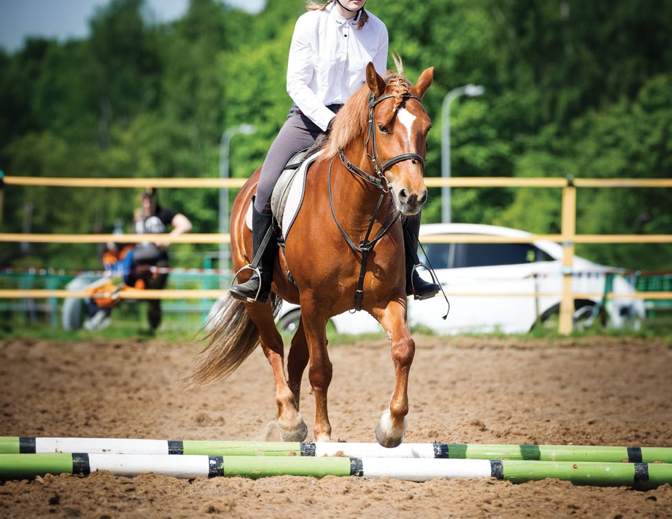 Jec A. Ballou, ground poles for horses, horse pole exercises, equine conditioning Canada, groundwork for horses, ridden pole work, horse training Canada, equine fitness, horse rehabilitation exercises, improving horse balance, horse proprioception, pole work benefits horses, Canadian horse industry