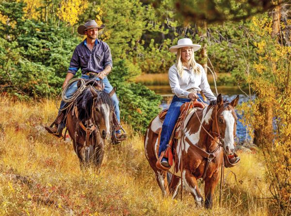 how to remove ticks, tick removal horses, preventing tick bits horses, best bug sprays horses, areas to avoid ticks canada, what do ticks look like on horse, grooming horse tick