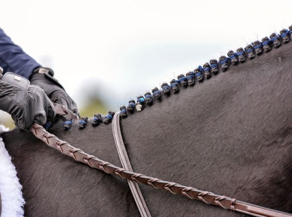 April D. Ray, horse braiding, how to braid a horse, how to braid a horse's mane, horse mane braiding, horse tail braiding, hunter braids, jumper braids, dressage braids, horse show turnout, horse show grooming, horse grooming, horse mane, horse tail, hunter horse, jumper horse, dressage horse, braiding horse mane, braiding horse tail, horse show preparation, equestrian grooming, equestrian turnout, show horse grooming, braiding tutorial, Canadian Horse Journal