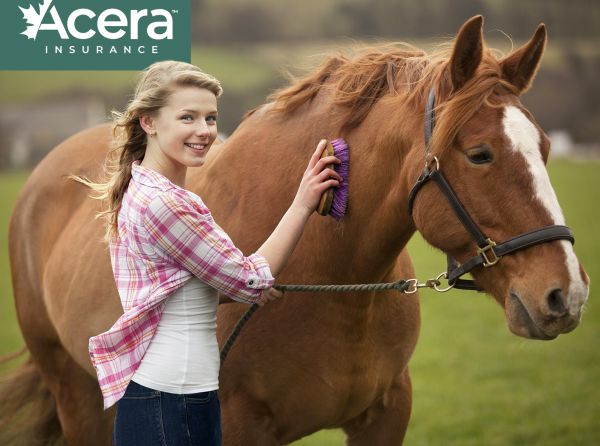 acera insurance, horse insurance canada, Canadian horse industry, horse industry Canada, equestrian Canada statistics, horse population Canada, recreational horse use Canada, sport horses Canada, boarding barns Canada, horse ownership costs Canada, equine industry trends Canada, Ontario horse industry, Alberta horse industry, British Columbia horse industry, Hastings Racecourse closure, horse racing Canada decline, equestrian participation Canada