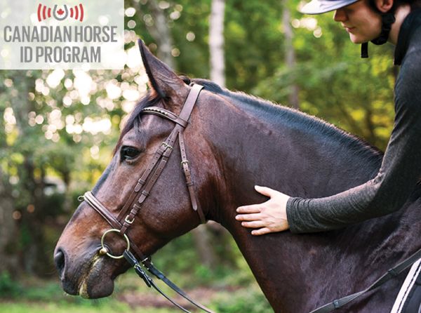 Canadian Horse Identification Program, CHIP equine identification, horse microchipping Canada, equine traceability, horse identification program, equine welfare Canada, microchip horses, Equestrian Canada
