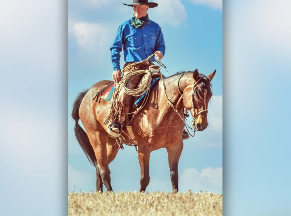 bridle horse riding, tania millen, martin black horse trainer, spanish cowboys, stefanie travers horse trainer, straight up bridle, bosal two rein, roping