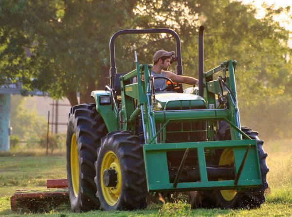 Caring for horse pasture, Dr. Stephen Duren, mowing horse pasture, mowing lawn, horse paddock management, risks horses grazing mowed pasture, horse care, horses consuming molded grass, clipped forage choking hazard horses Caring for horse pasture, Dr. Stephen Duren, mowing horse pasture, mowing lawn, horse paddock management, risks horses grazing mowed pasture, horse care, horses consuming molded grass, clipped forage choking hazard horses