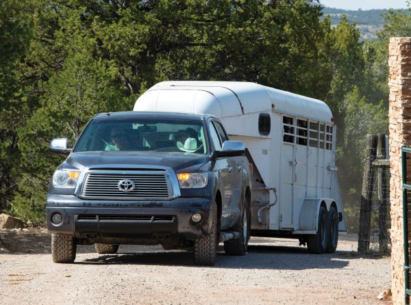 horse moving to new barn, horse relocation, horse trailer transport, horse settling into new home, horse herd introduction, horses in pasture, horse boarding facility, equine behaviour, horse welfare, horse turnout, horse owner Canada, horse management, horse adjustment to new environment, herd dynamics, Canadian horse industry