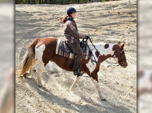 how to use hills to train horse, horse hill training, jec ballou, horse fitness, exercises for horses, best workouts for horse