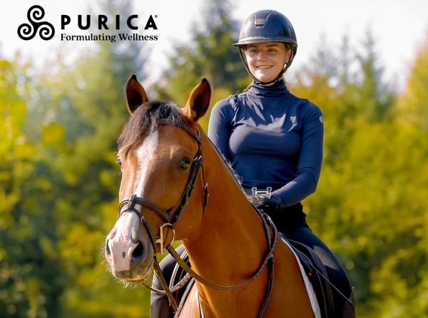 purica logo, horse health purica, canadian horse health supplements, equine recovery supplement, equine renewal supplement