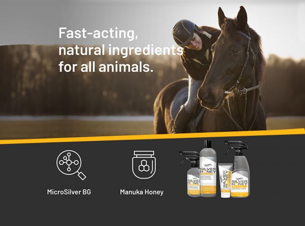 Silver Honey for horses, MicroSilver BG horses, manuka honey horses, equine skin care, mud fever horses, pastern dermatitis care, horse wound care products, Absorbine Silver Honey