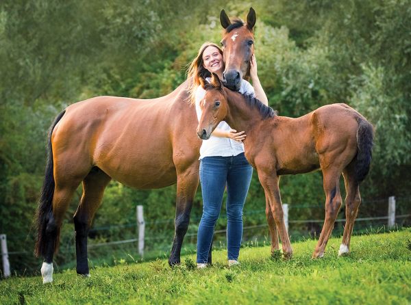 equine reproduction, assisted reproductive techniques horses, artificial insemination horses, embryo transfer horses, ICSI horses, equine IVF, horse breeding technologies, equine cloning