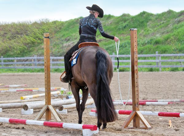 horse won't go through gate, gate exercises horses, competitive trail competitions, working equitation, mountain trail horse, extreme cowboy tests, horse afraid gate