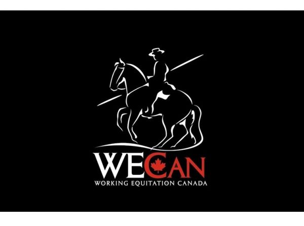 Tania Millen, Working Equitation Canada, WECan, opinion, Working Equitation World Championships, WAWE, Canadian working equitation, Canada working equitation team, working equitation selection process, Canadian equestrian sport, equestrian governance, team selection, athlete selection, equestrian transparency, horse sport Canada, Canadian horse industry, Sarah Bradley, Ilona Berbekar, Kerry Marit, Pam Esteves, Susanne Zimmerman, WAWE rankings, World Association for Working Equitation, equestrian opinion, Ho