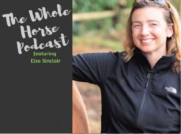 alexa linton whole horse podcast, elsa sinclair freedom based training, taming wild horses