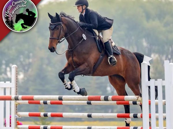 Abby Stilwell, body image, equestrian body image, horseback riding, horse riding, horse rider confidence, confidence in the saddle, rider confidence, equestrian confidence, getting back in the saddle, horseback riding confidence, rider fitness, equestrian fitness, horse rider fitness, body confidence, self-confidence, positive body image, women equestrians, horse rider health, equestrian wellness, horseback riding lifestyle, horse ownership, horse lovers, equestrian community, rider motivation, horse and ri
