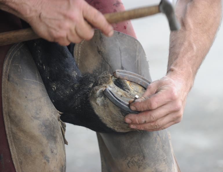 Stan Walchuk Jr, horse trail riding, make horse shoe stick horse trail, Diamond Toed horseshoe, Heeled horseshoe