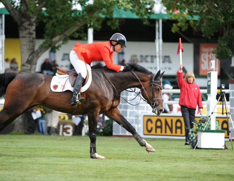 Equine Joint Disease, equine joint inflammation, degenerative equine joint disease, equine arthritis, equine osteoarthritis, Non-steroidal anti-inflammatory equine drugs