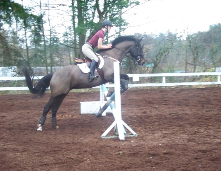 overcoming horse riding fear, fearful horse rider, understanding horse riding fear, horse rider physical fear, horse rider psychology