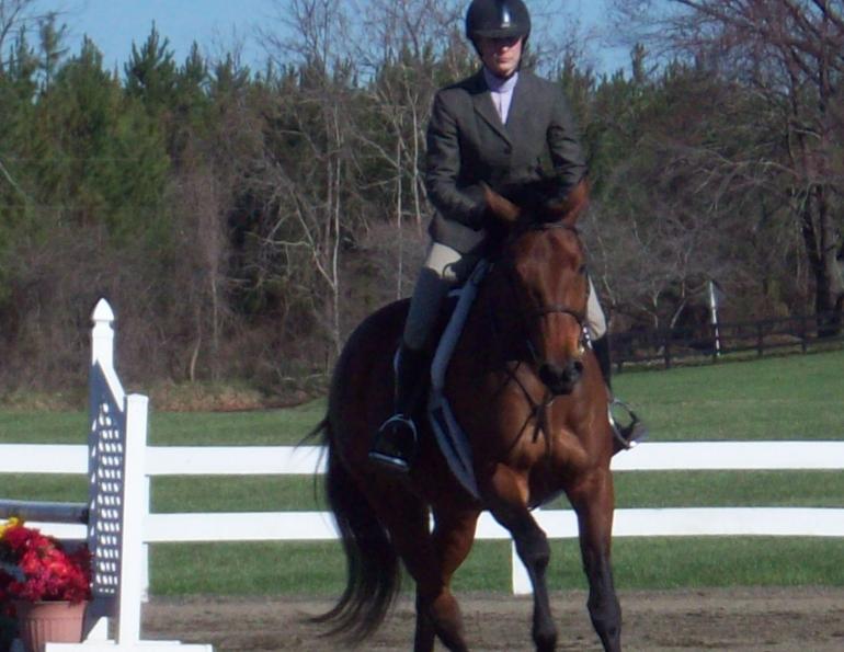 Making the Broke Horse