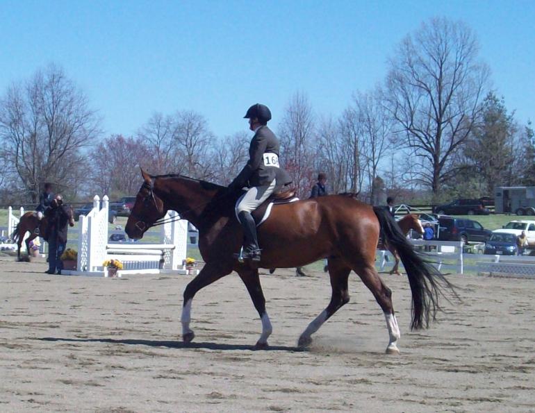 Pepping Up the Lazy Horse