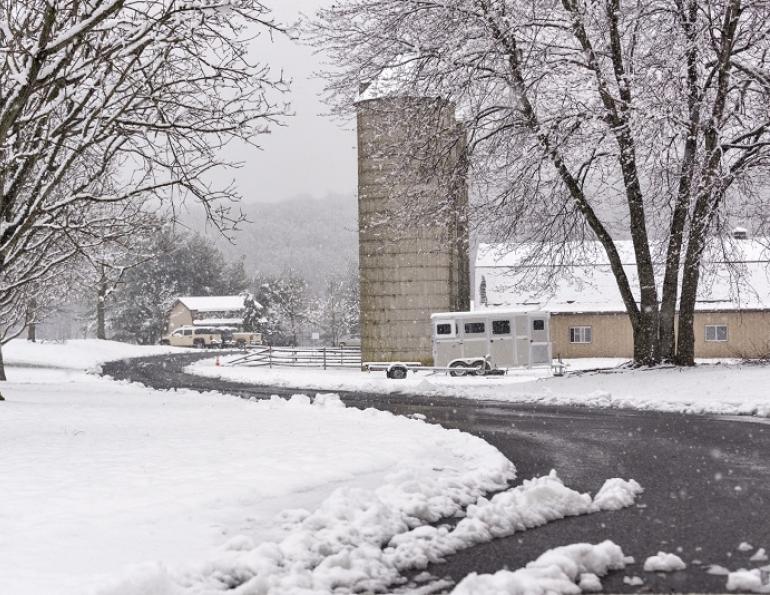 horse trailer safety, spring trailer maintenance, hauling horses safely, horse transportation, trailer inspection checklist, trailering horses, equine travel safety, preparing horse trailer