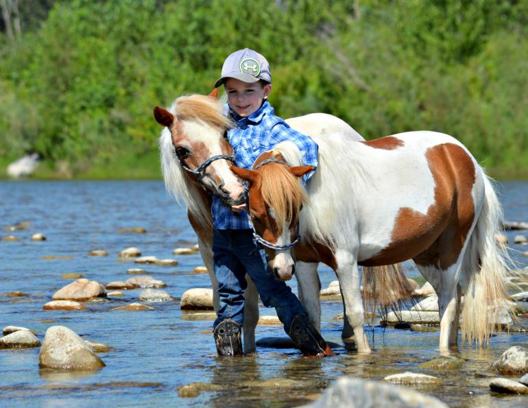 horse photo contest, celebration of horses photo contest, winners of canadian horse journal photo contest