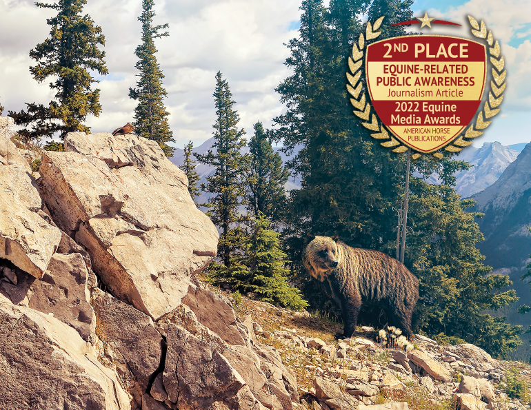 horseback riding canada, riding horses in banff national park, riding horses rocky mountains, horseback riding western canada, mount assiniboine provincial park, tania millen
