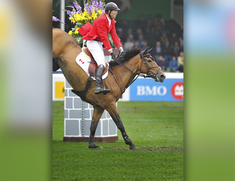 sticking the landing showjumping, sidonia mcIntyre, bascule phase horse jump, Federico Caprilli, Caprilli Method, equine kissing spine