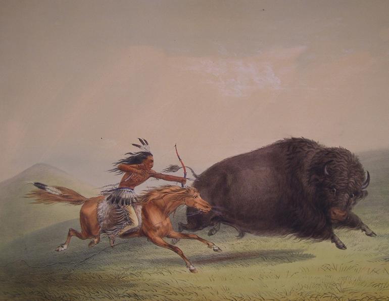 Horse Changed West, Todd Kristensen, Jack Brink, horse extinction in Alberta Canada, palaeontology, horse history Canada, history horses in canada, Mexican horse, Equus conversidens, domestic horse alberta canada