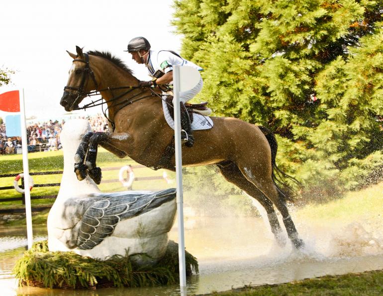 What Makes a Good Event Horse