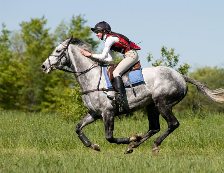 horse rider flexibility, horse rider-specific yoga, equestrian flexibility, yoga Louise Sattler, yoga for horse riders