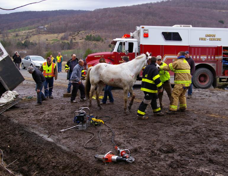 equine emergencies, what to do in case of a horse trailer accident, how to help my horse in an emergency, horse rescuers