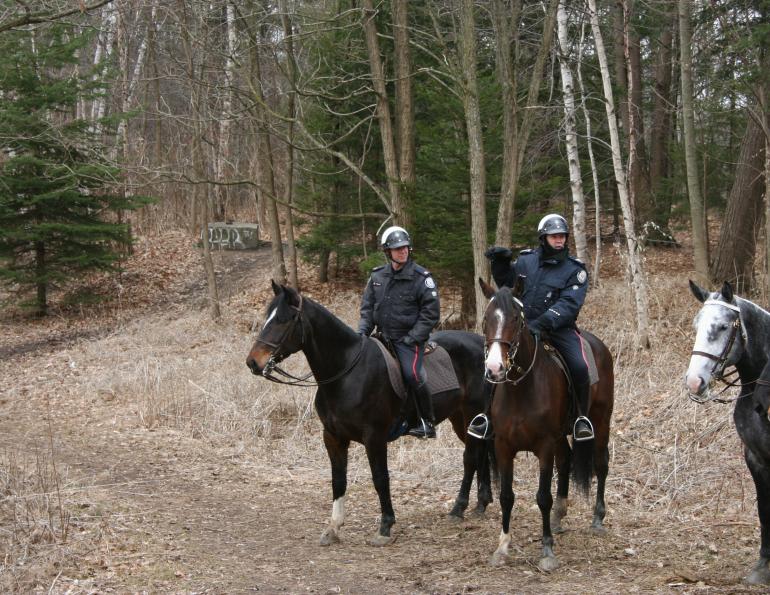Toronto Mounted Police