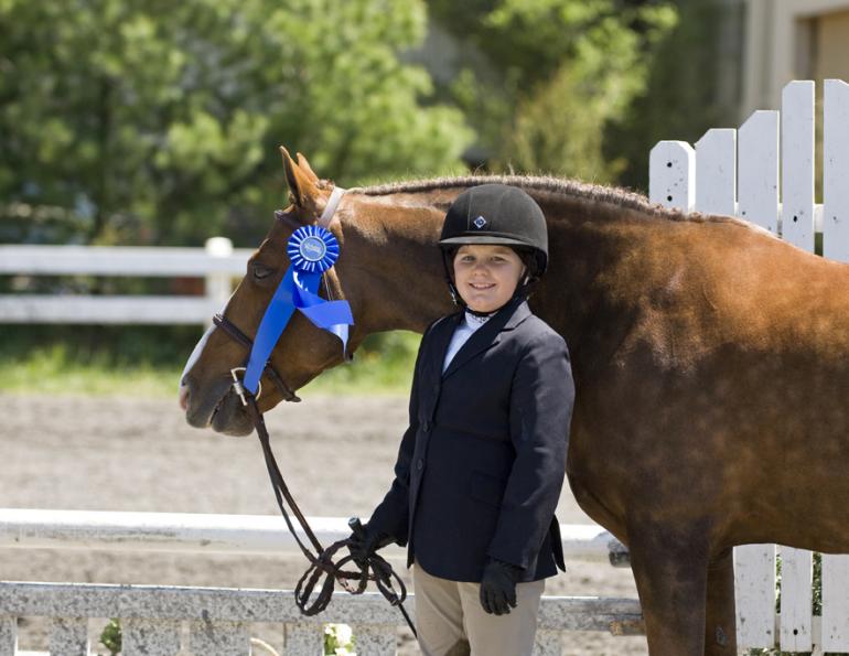 good minded horses, best horses novice riders, finding a horse for child, best horses for kids, lindsay grice