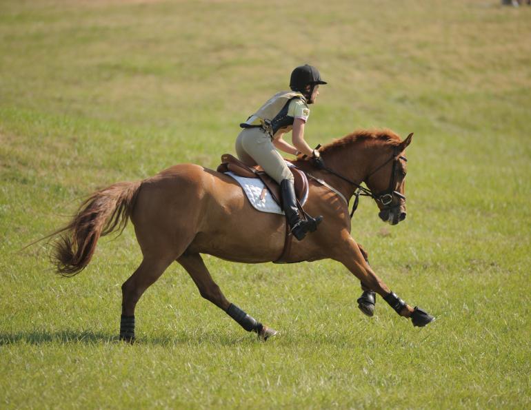 Good Horse Rider Position