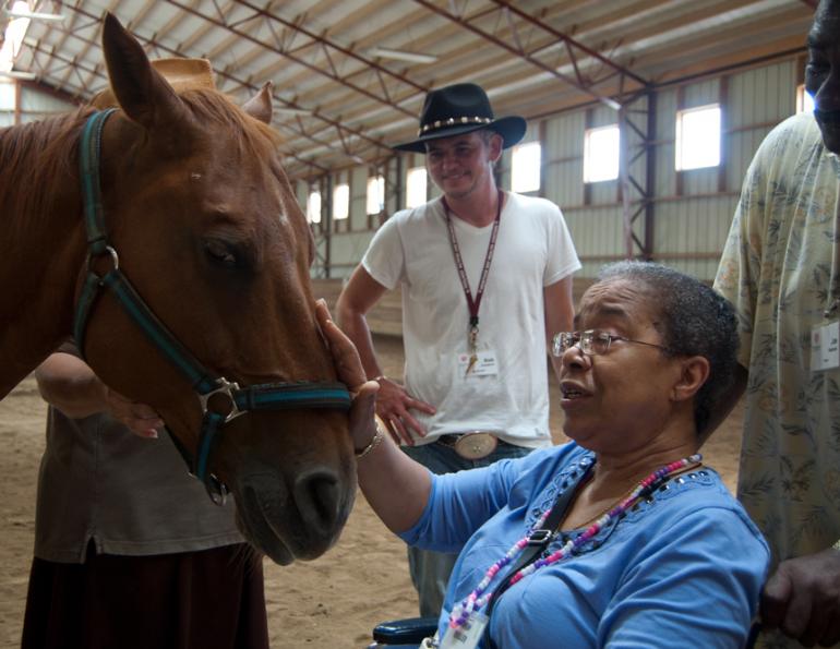 Ohio State University horses