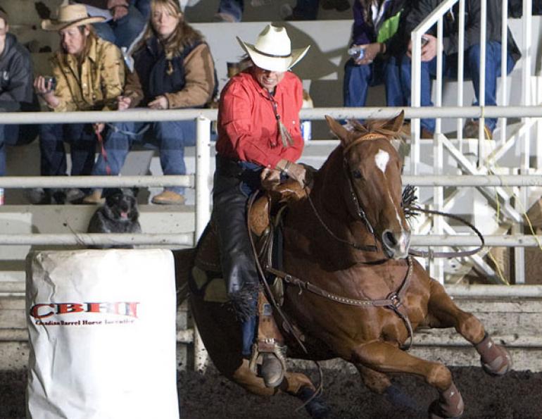 What Makes a Good Barrel Horse?
