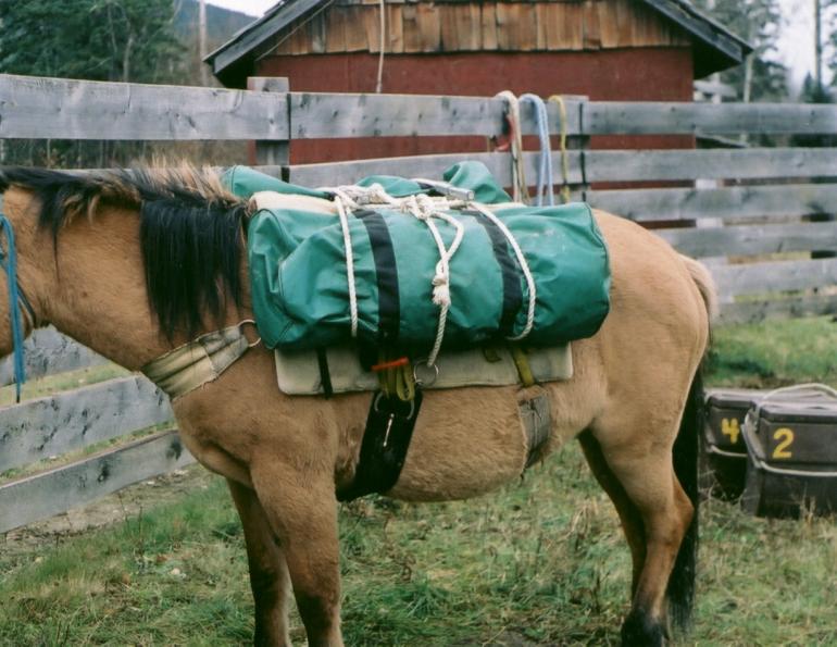 Stan Walchuk Jr, tying Basket Hitch, horse trail riding, trail riding tips, Horse Camping Trekking