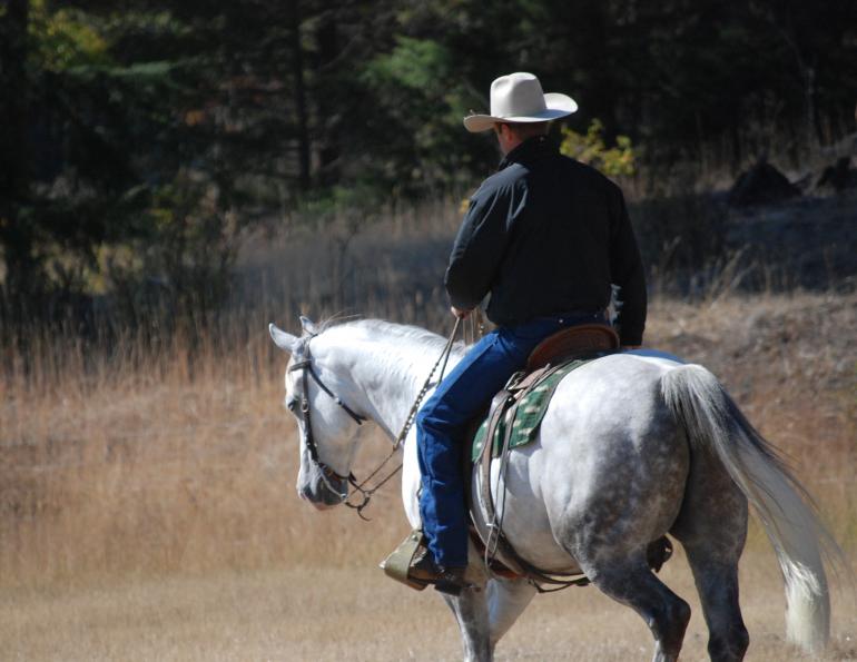 Jonathan Field, comfortable canter, training horse canter, canter length, natural horsemanship