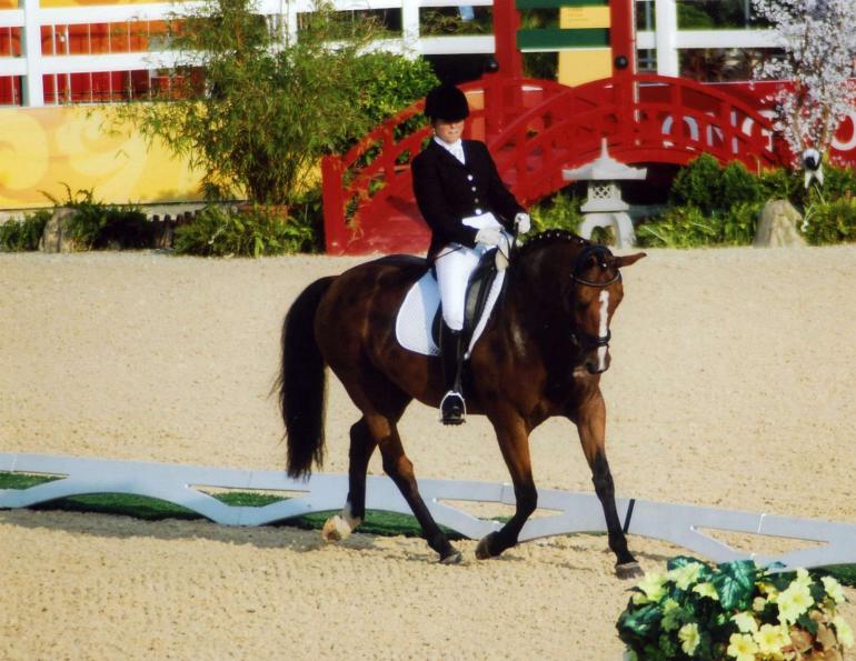 reaching your horse riding goals, Karen Brain, Judi Island, Lauren Barwick, horse riding spinal cord injury, horse rider psychology 