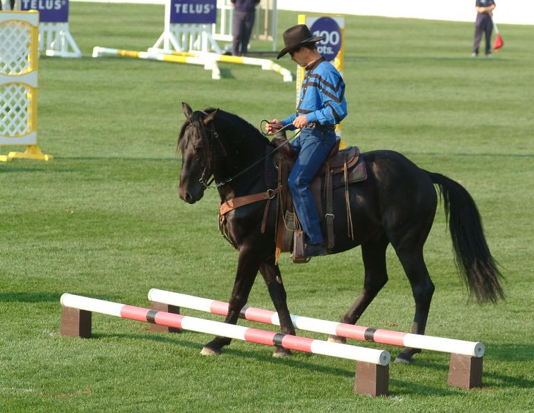 horse rider psychology, confident horse rider, horse rider confidence