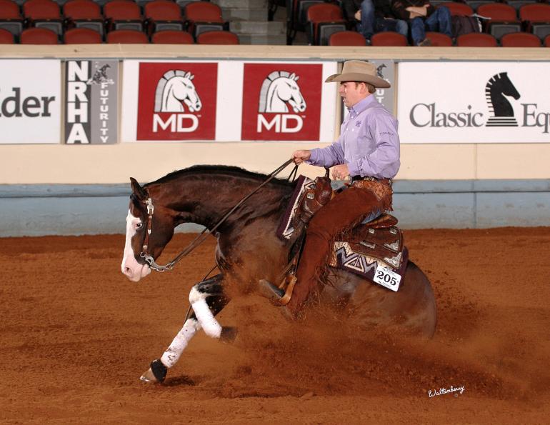 Choosing the Right Reining Horse