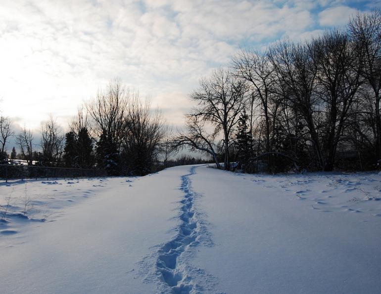 horse riding in extreme cold wewinter horse riding, cold weather riding, cowboy winter riding, riding in extreme cold, horse care in winter, equestrian winter conditions, riding horses in cold weather, winter horsemanship, cowboy life, working horses in winter