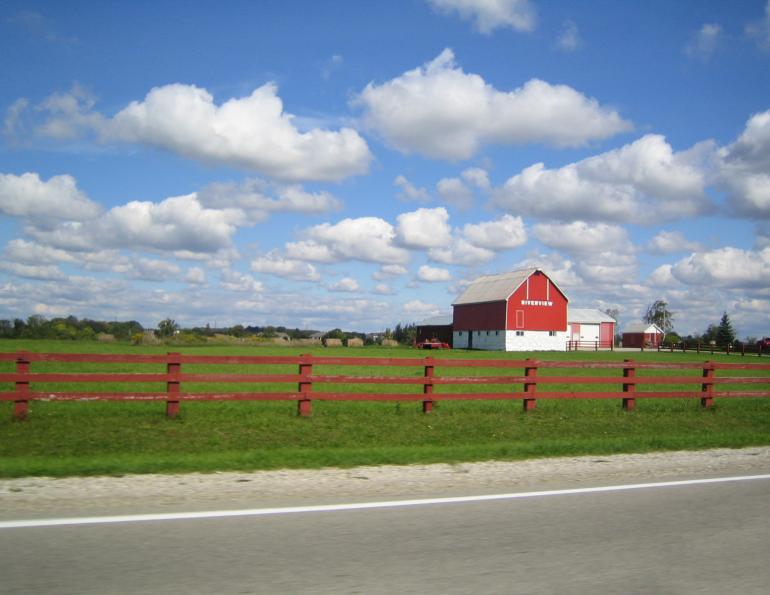 Across the globe, people are looking for ways to reduce their environmental impact, and for horse owners, this includes making their barns more sustainable. Going green doesn’t just help the planet—it can also lead to significant cost savings, whether you’re outfitting an eco-friendly barn or simply making small, impactful changes.