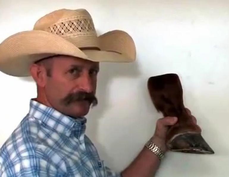 Two Minutes with Tab - Anatomy of the Equine Hoof