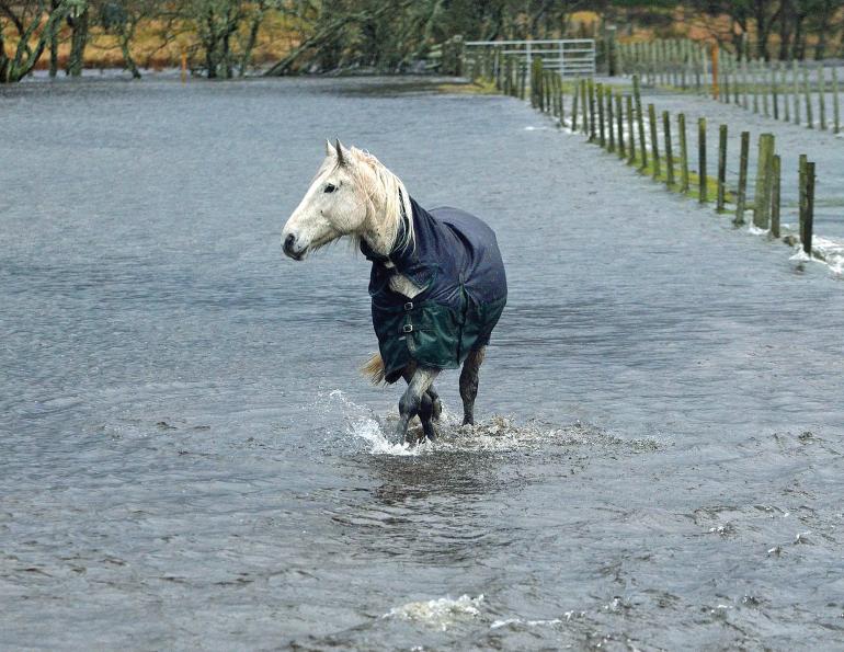 horse farm emergency preparedness, equine disaster planning Canada, flood safety horses, barn fire prevention, horse evacuation planning, farm risk management, horse safety Canada, equine emergency response