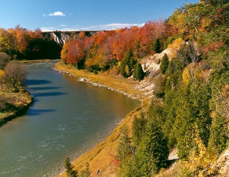 horse laminitis, horse campground ontario, horse campground canada, saugeen bluffs campground, horse vacation ontario, horseback riding canada