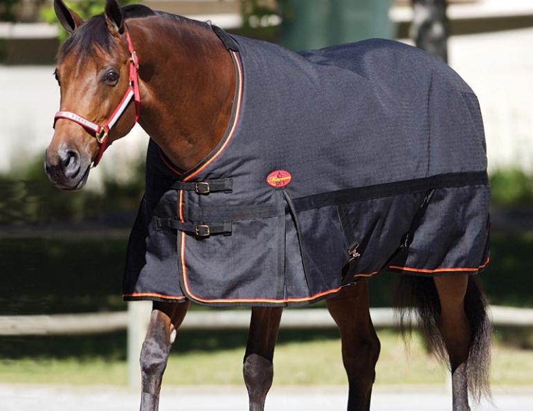 horse blanket Tips, equine blanket tips, durable horse blankets, denier horse blanket, horse blanket fittings, Waterproof horse blankets, breathable horse blankets, equine fly sheets