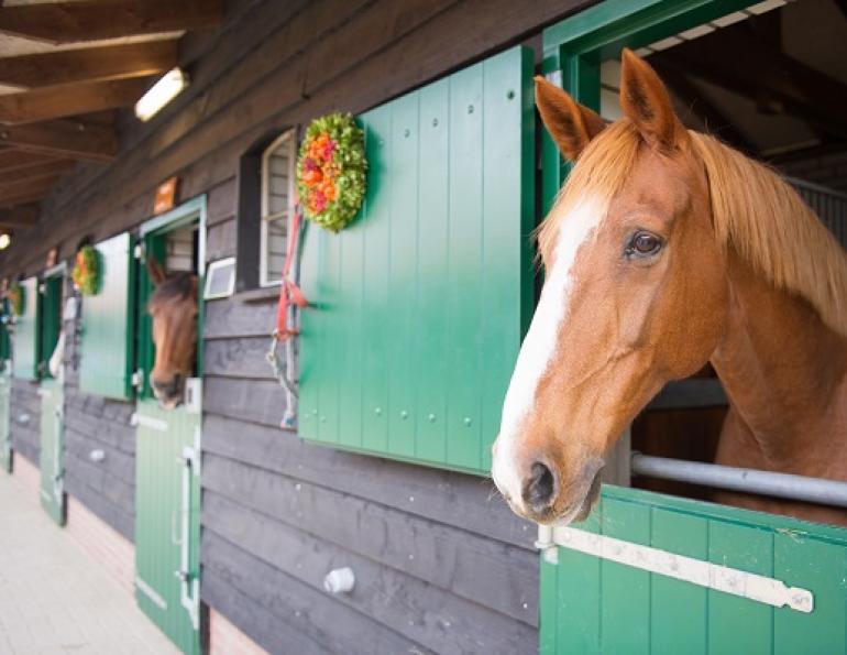 enviromentally friendly horse barn, eco friendly horse, eco friendly horse barn, stephanie captein Langley Environmental Partners Society, recycling horse bedding, composting horse manure
