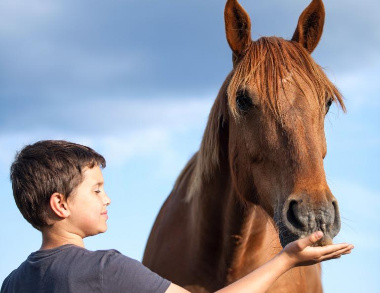 horses children, horses kids, equine therapy, horse therapy, Washington State University, National Institutes of Health, Sue Jacobson, Phyllis Erdman