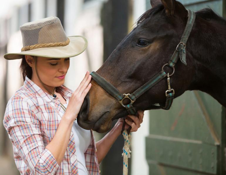 stable boarding contract, boarding agreement, horse board agreement, horse board contract, boarding a horse, written boarding agreement, Livestock Lien Act, horse owner not paying