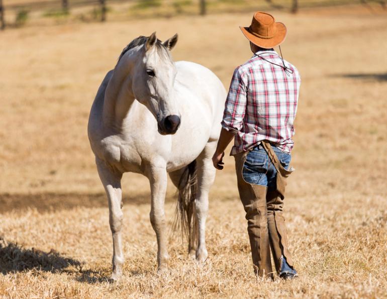 help horse work through confusion, understanding confused Horse, horse aggression, giving proper horse cues, jonathan field