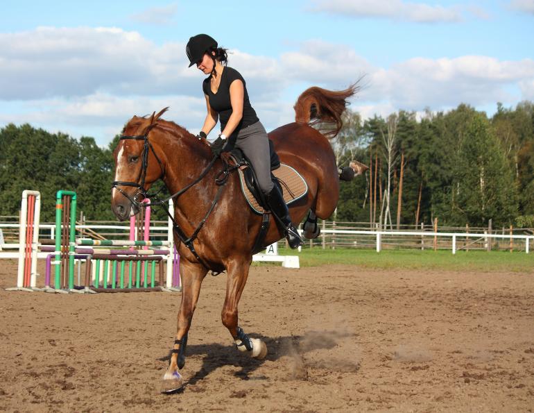 horse kicking, horse rearing, horse bucking, horse acting out, horse misbehaving, lindsay grice